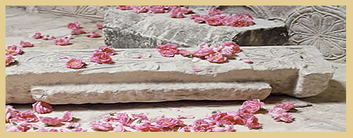 persian_rose_treatment